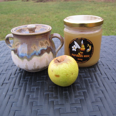 Mesi 500g ja meepott sangadega